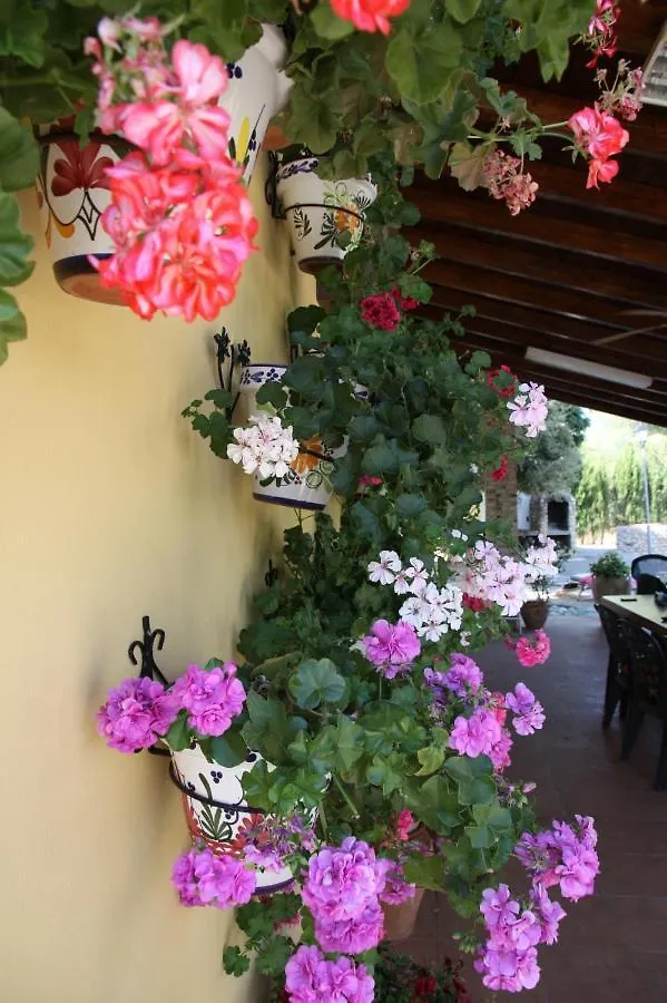Villa Rural Paquete Pozo Alcon